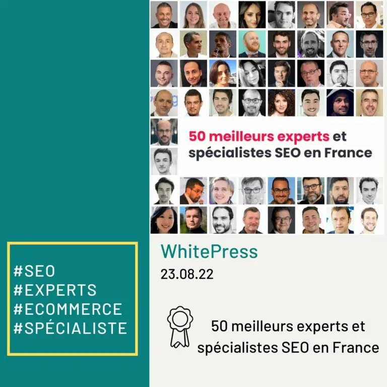 50 meilleurs SEO de france - Etowline